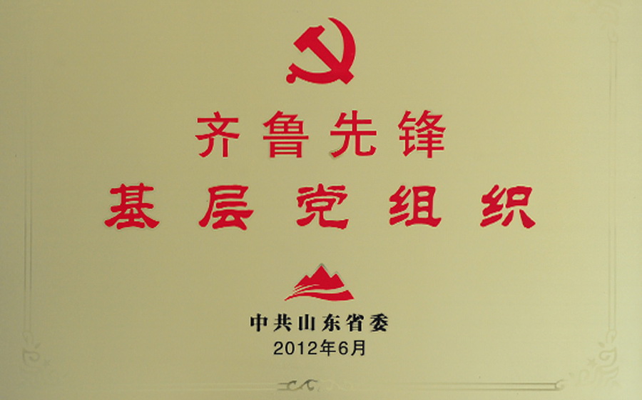 4荣誉-齐鲁先锋奖牌2012,6.jpg